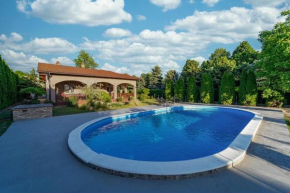 Pool house Čenej Villa Viko